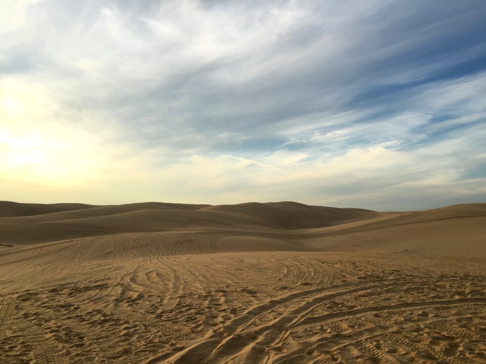 Sand summer landscape