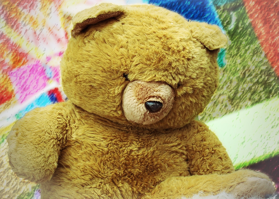 Stuffed animals bear bears