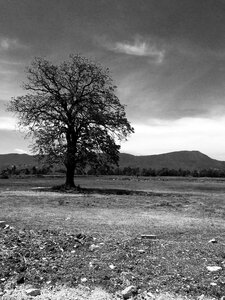 Lonely landscape black and white photo