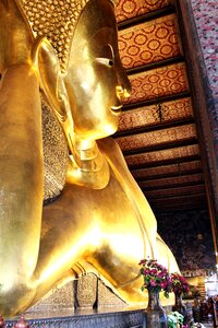Asia gold travel