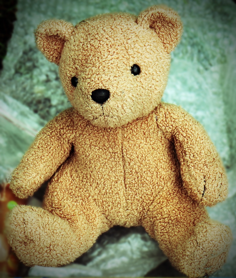 Stuffed animals bear bears