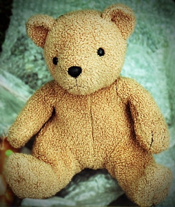 Stuffed animals bear bears photo