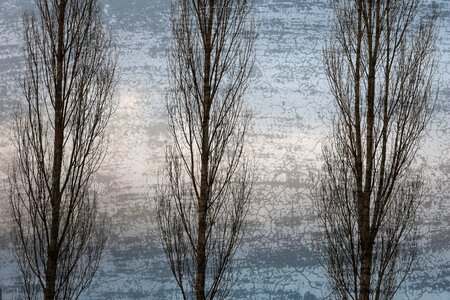 Natural landscape wood