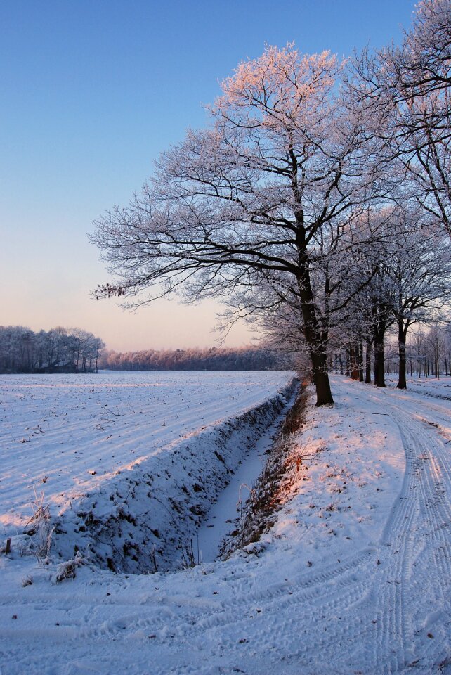 Snow snow landscape nature