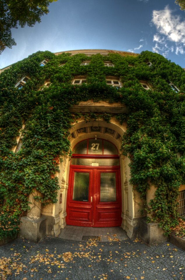 Ivy red door