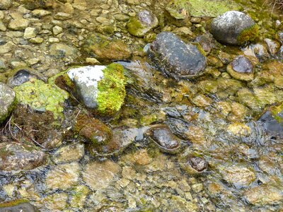 Flow water nature