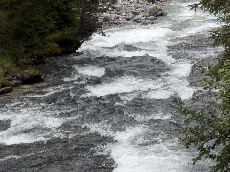 Water natural water bach