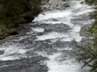 Water natural water bach