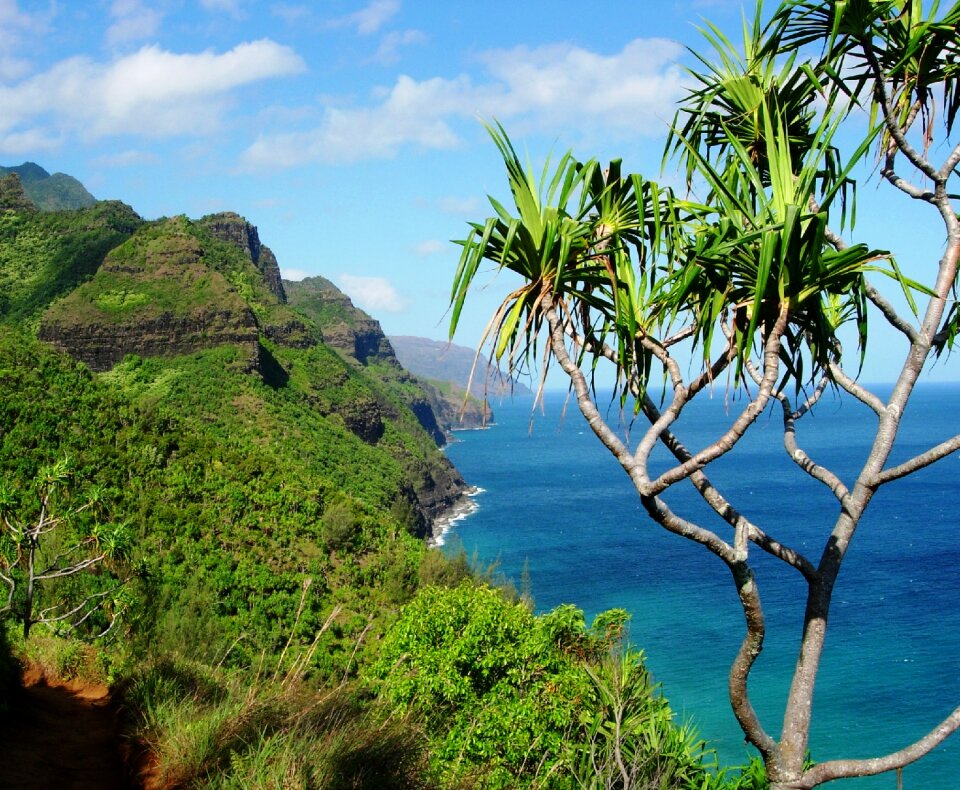 Island nature travel