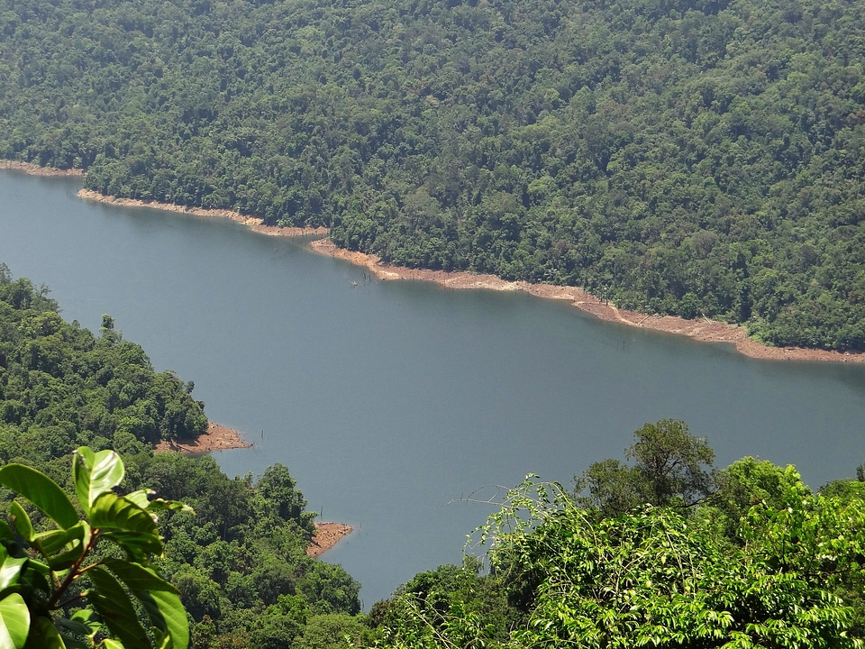 Mountains dense forest evergreen