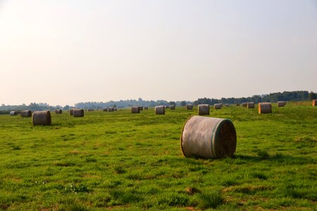 Hay bales round bales harvest