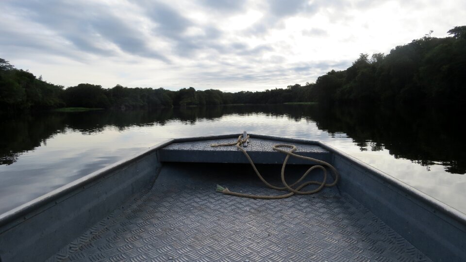 Nature amazonia landscape