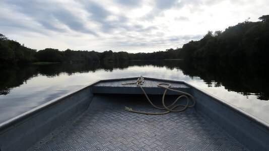 Nature amazonia landscape