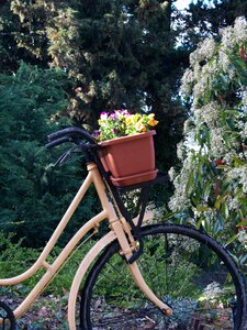 Bike summer basket photo