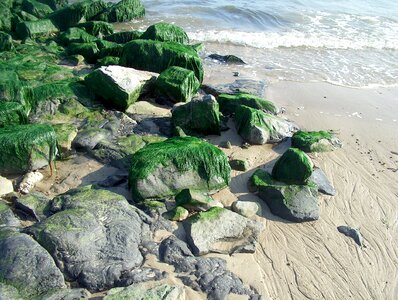 Stones sand water