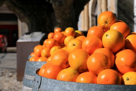 Citrus orange bahia vitamin c photo