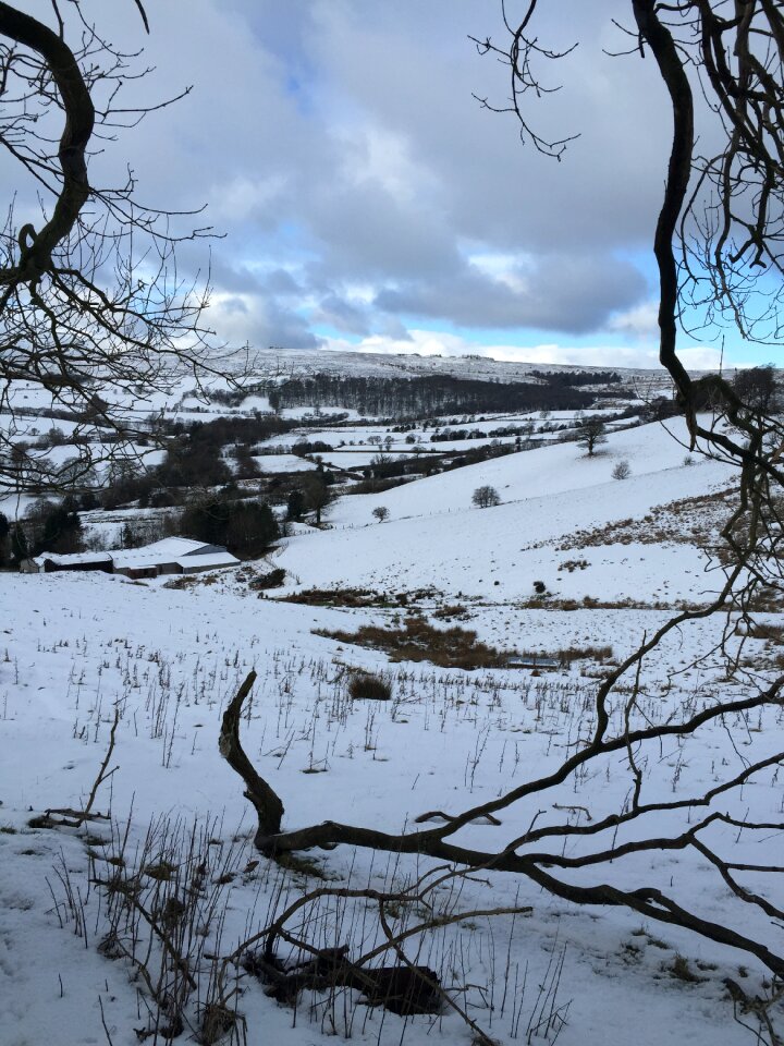 Winter landscape mountain