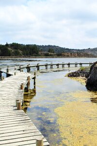 Stilt sea peyriac france
