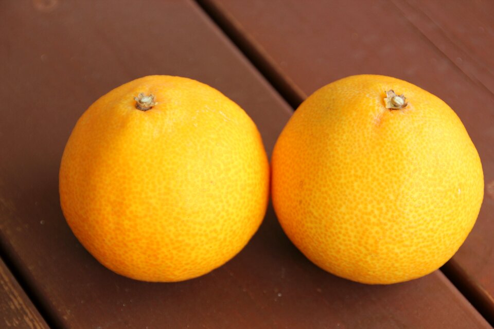 Fruit hallabong tangerine