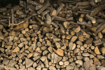 Brown cut the wood a pile of wood