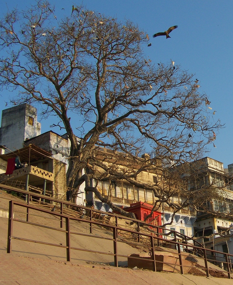 Ganga bank barricades