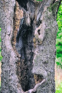 Hollowed out landscape nature