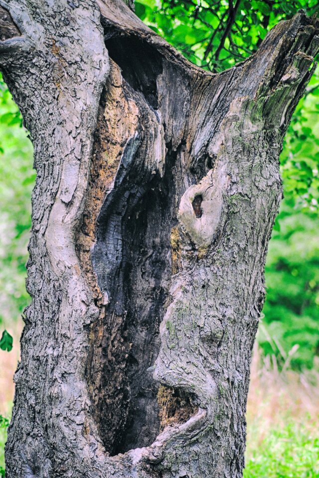 Hollowed out landscape nature