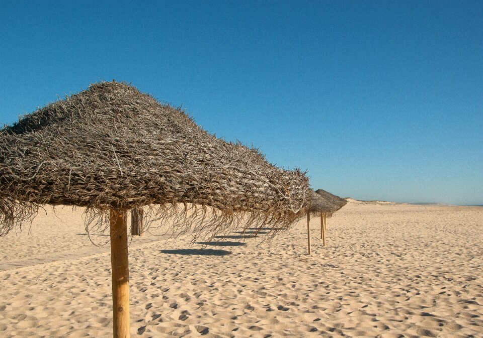 Parasol tourism sandy beach