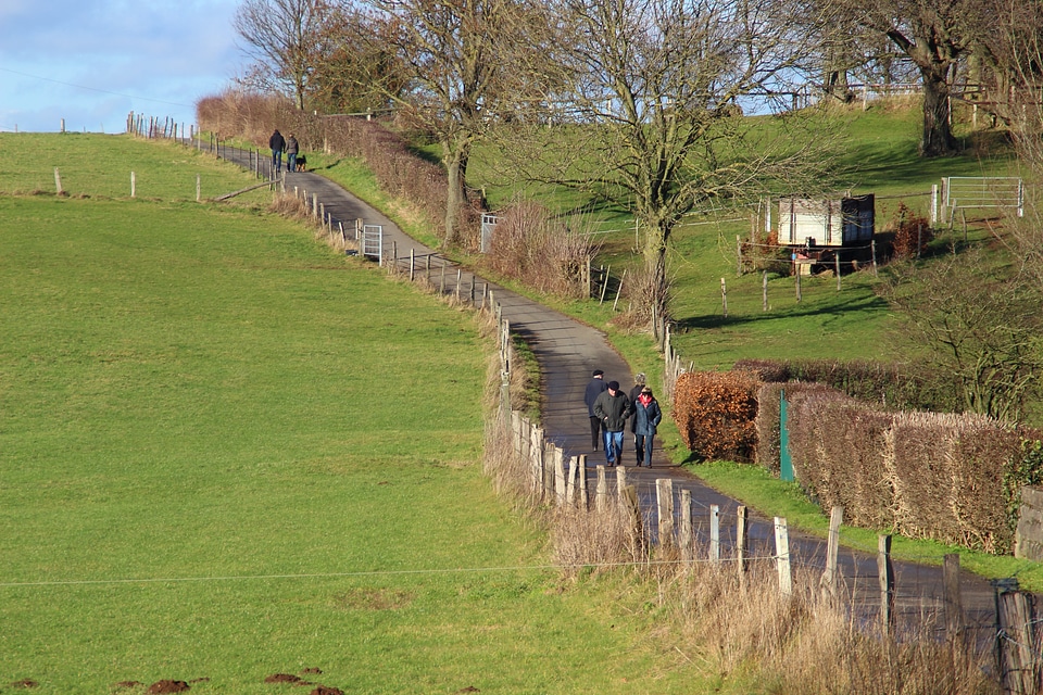 Landscape away lane