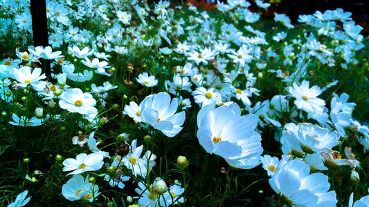 Nature fresh outdoor