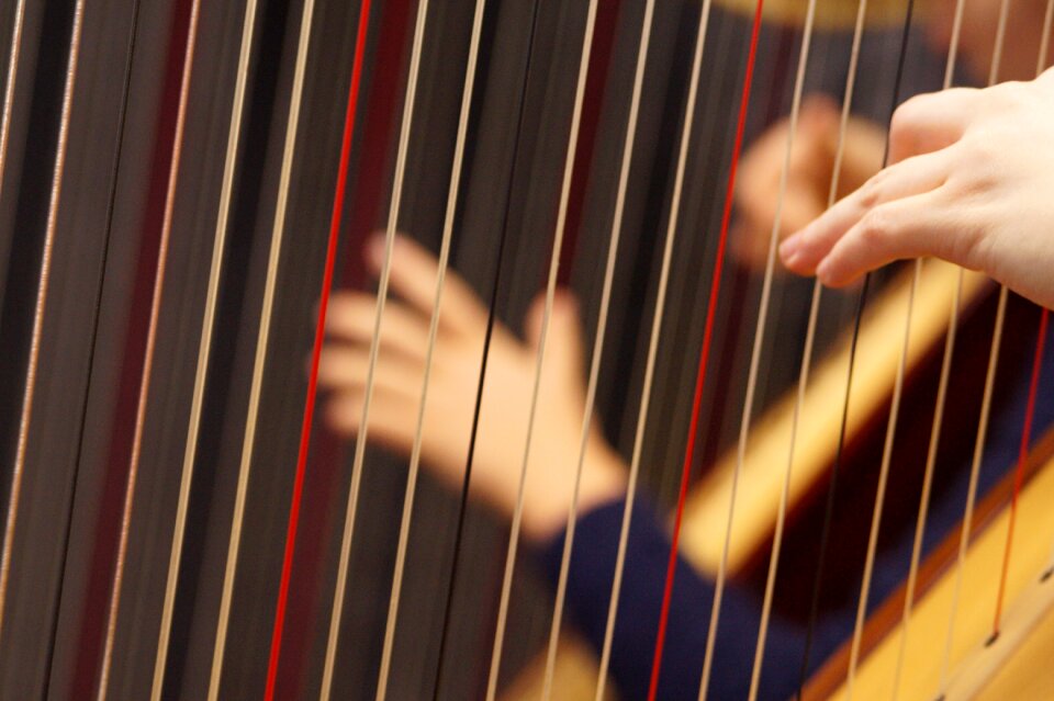 Concert harp stringed instrument hands