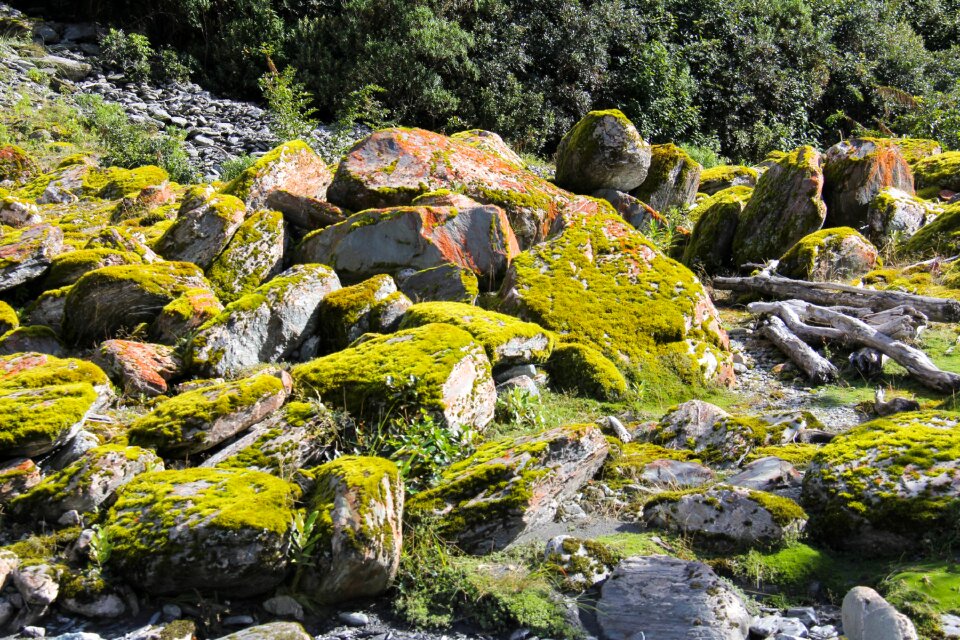 Walk stone adventure