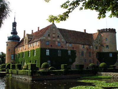 Elder efeubewachsen surrounded with moat
