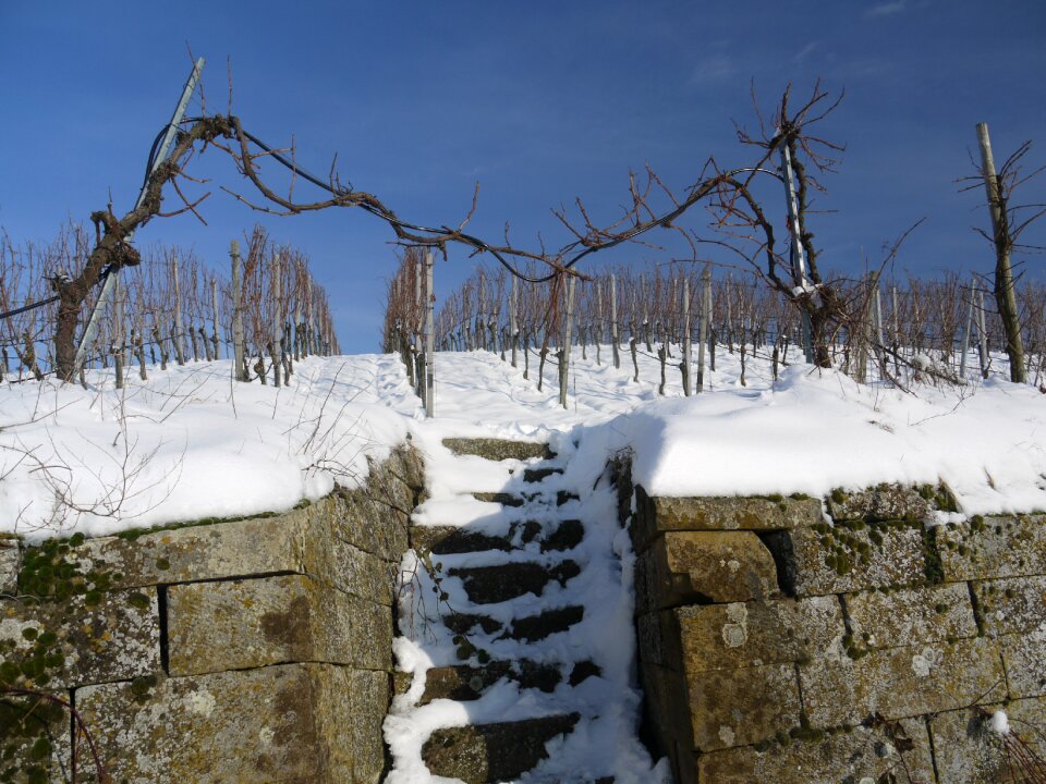 Wintry dream day white