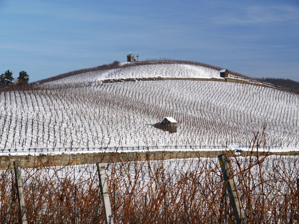 Wintry dream day white