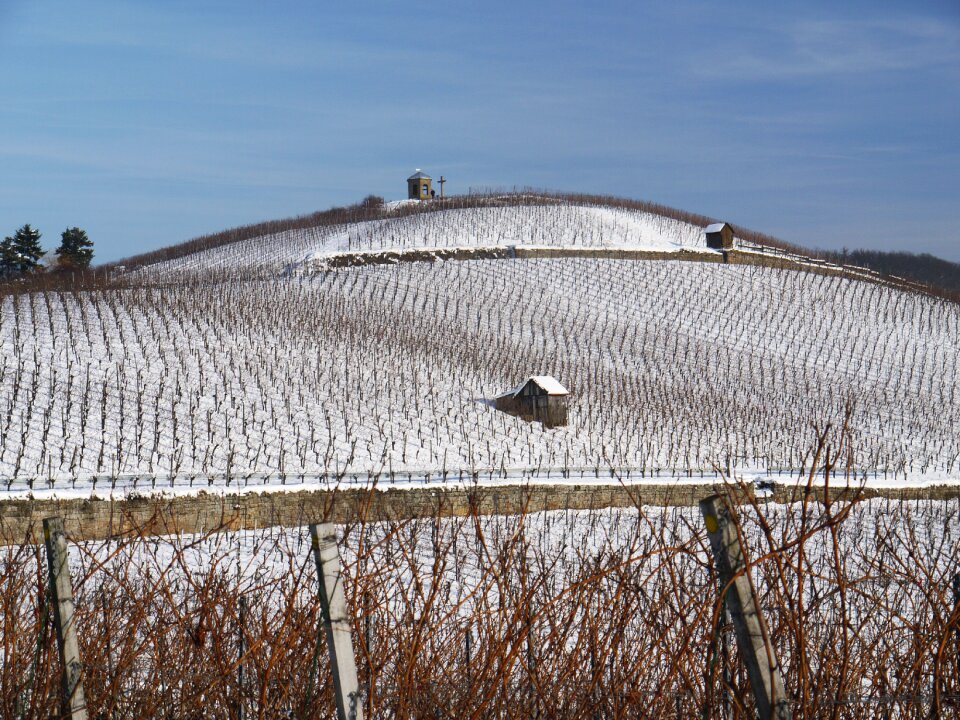 Wintry dream day white photo