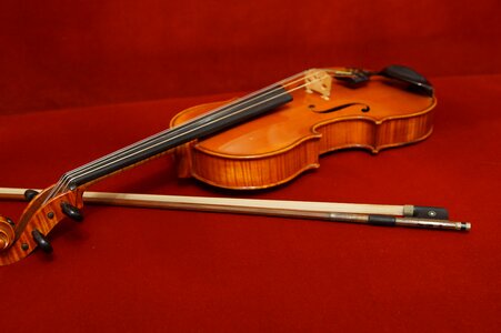 Viola musical instrument stringed instrument photo