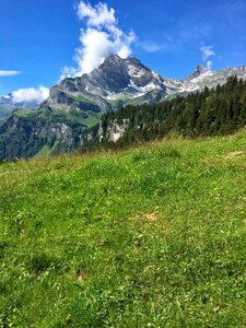 Braunwald alpine meadow photo