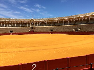 Travel bullfight seville photo