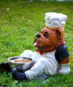 Drink dogbar animal