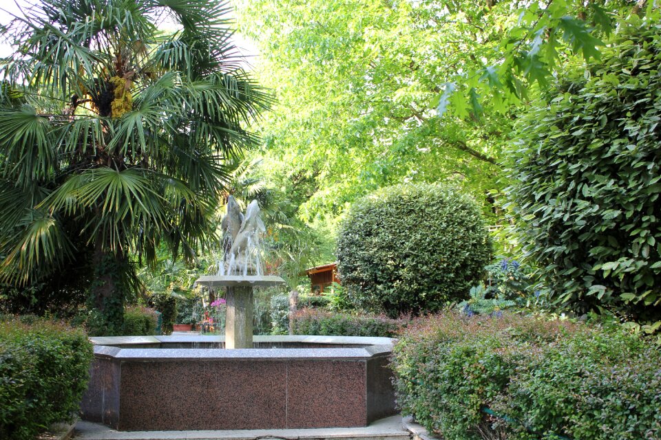 Plants public space pistoia