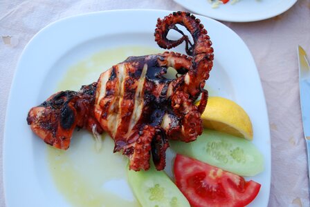 Appetizing food gastronomy