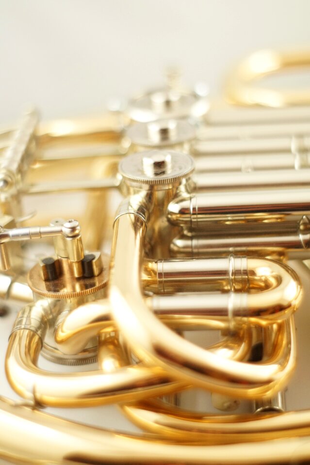 Horn musical instrument brass instrument