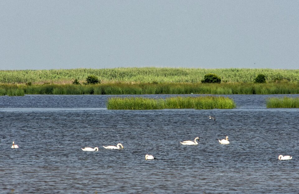 Ocean bay sanctuary
