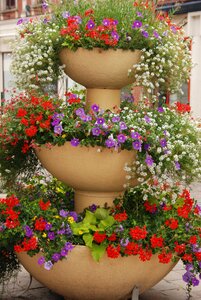 Flower pot decoration photo