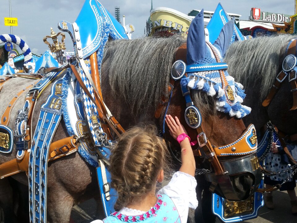 Oktoberfest wagon transport