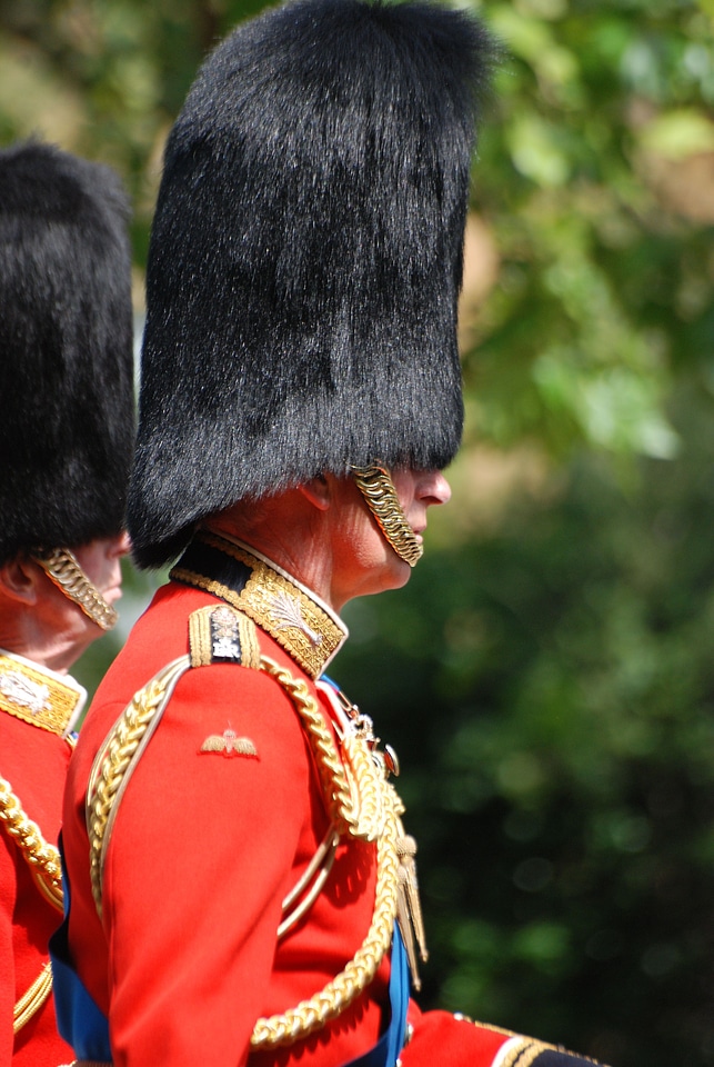 Red welsh guard bearskin