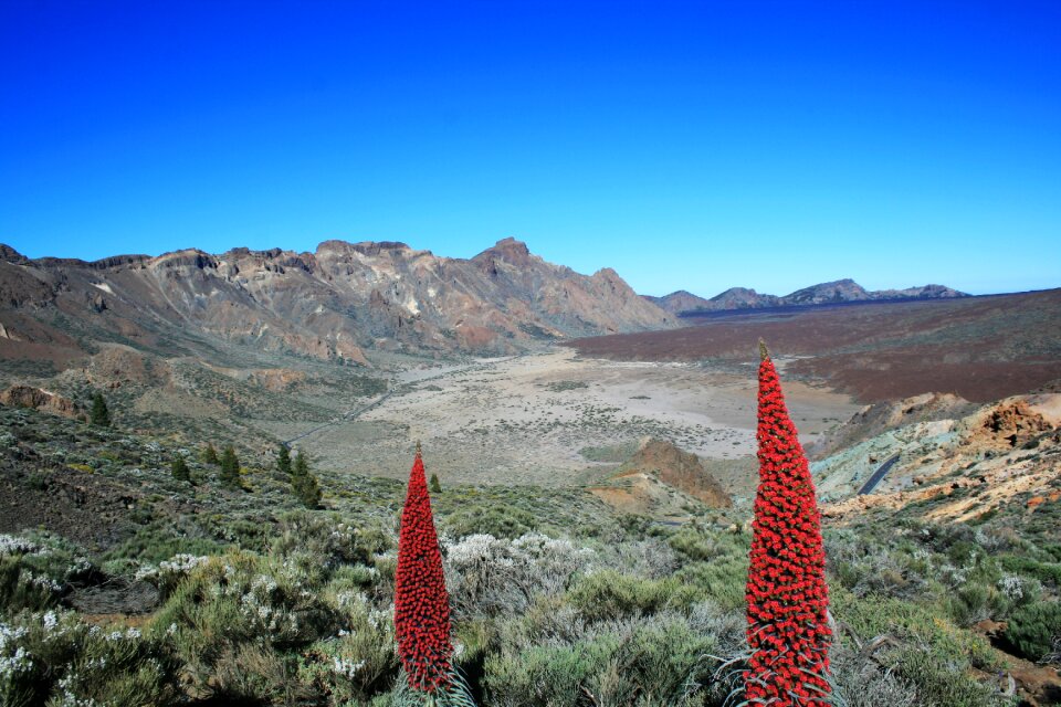 Volcano el teide national park teide