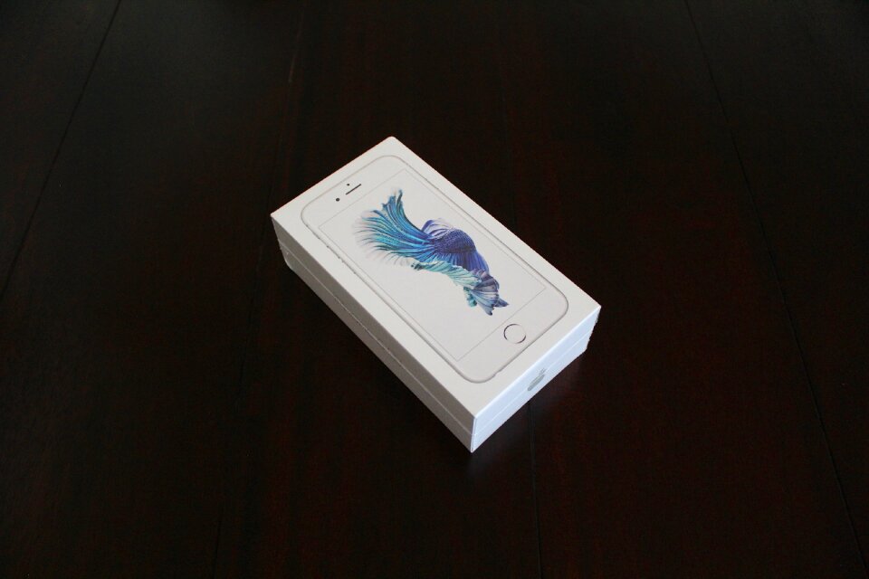 Mobile electronic gadget