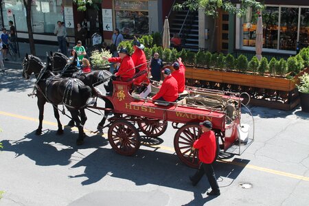 Older vehicles horses rescuer